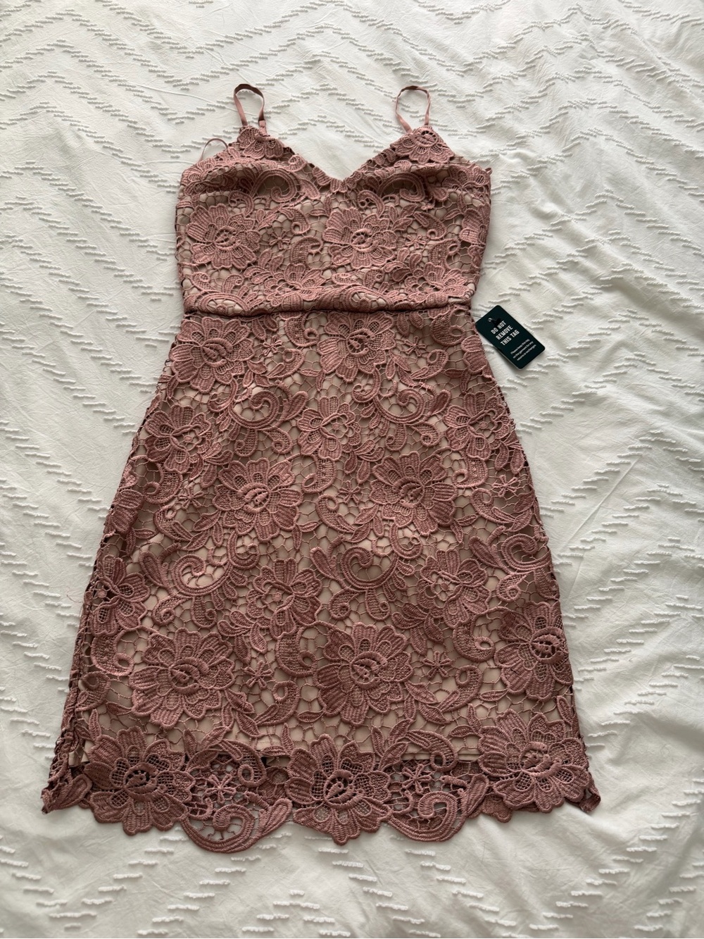 Express Dusty Rose Lace Mini Dress